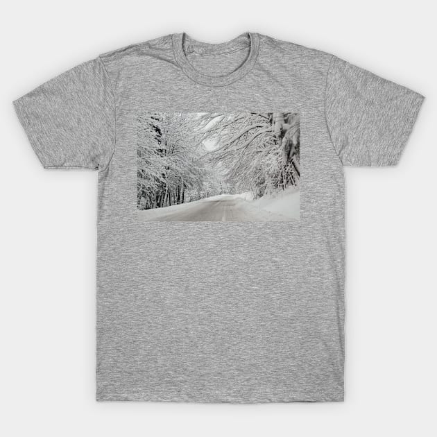 winter time T-Shirt by Evaaug